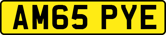 AM65PYE