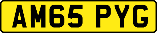AM65PYG
