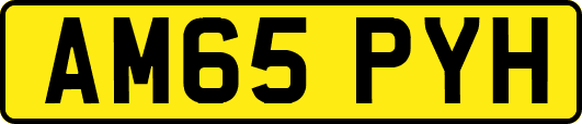 AM65PYH