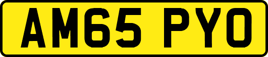 AM65PYO