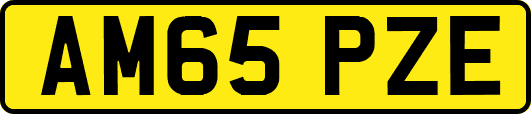 AM65PZE