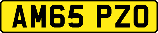 AM65PZO