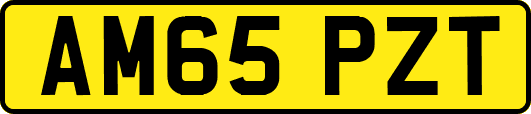 AM65PZT
