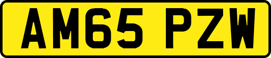AM65PZW