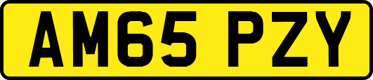 AM65PZY