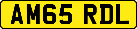 AM65RDL