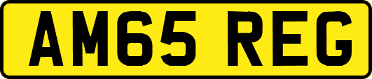 AM65REG