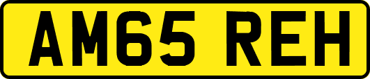 AM65REH