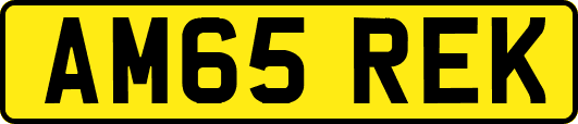 AM65REK