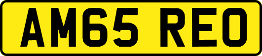 AM65REO