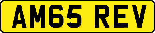 AM65REV