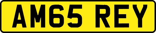 AM65REY
