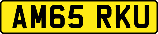 AM65RKU