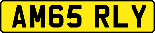 AM65RLY