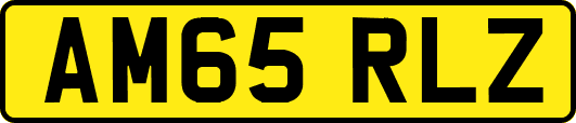 AM65RLZ