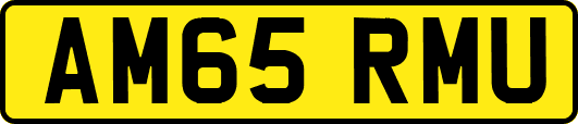AM65RMU