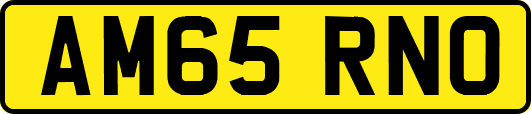 AM65RNO