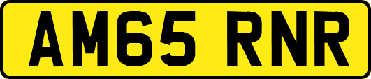 AM65RNR