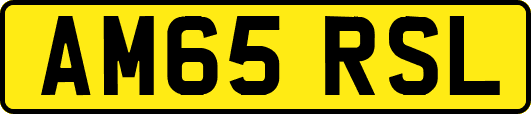 AM65RSL