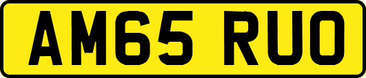 AM65RUO
