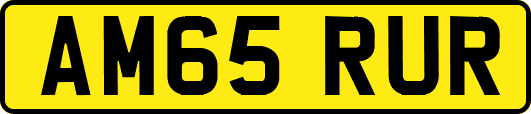 AM65RUR