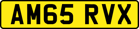 AM65RVX