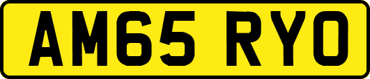 AM65RYO