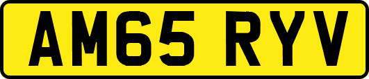 AM65RYV