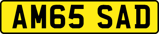 AM65SAD