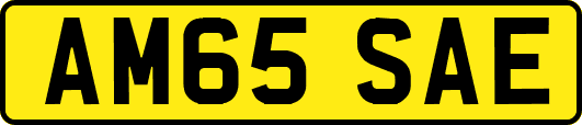 AM65SAE