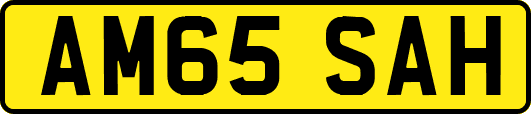 AM65SAH