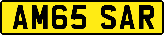 AM65SAR