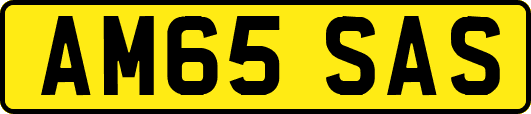 AM65SAS