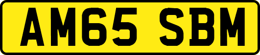 AM65SBM