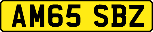 AM65SBZ