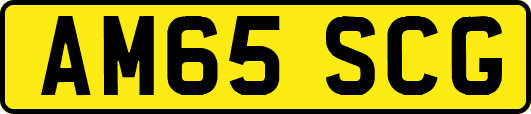 AM65SCG