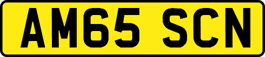 AM65SCN