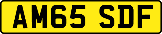 AM65SDF