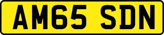 AM65SDN