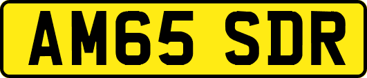 AM65SDR