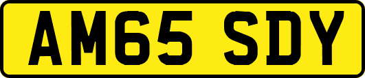 AM65SDY