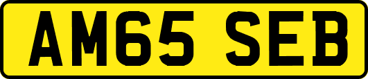 AM65SEB