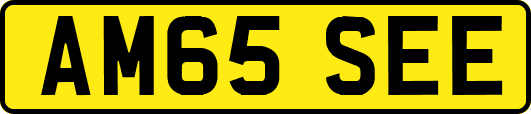 AM65SEE