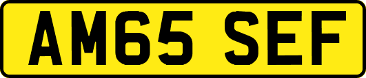 AM65SEF