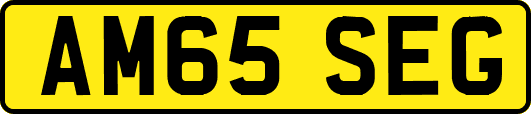AM65SEG
