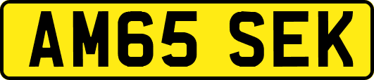 AM65SEK
