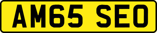 AM65SEO