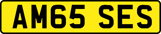 AM65SES