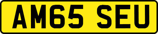 AM65SEU