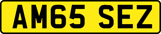 AM65SEZ